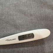 ヒメ日記 2025/08/11 12:07 投稿 リンカ(奥方) 奥様幕府