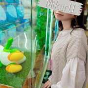 ヒメ日記 2025/05/03 15:27 投稿 満星みくるハイスタンダード -NEO-皇帝別館（中央街）