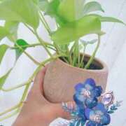 ヒメ日記 2025/11/26 12:31 投稿 倉沢里胡 ハールブルク