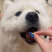 ヒメ日記 2025/08/08 20:56 投稿 ろな Vivienne池袋西口店