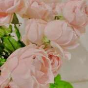 ヒメ日記 2024/12/17 01:33 投稿 柏木てぃな 禁断のメンズエステR-18堺・南大阪店