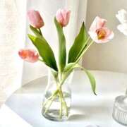 ヒメ日記 2024/12/19 13:51 投稿 柏木てぃな 禁断のメンズエステR-18堺・南大阪店