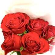 ヒメ日記 2024/12/20 01:33 投稿 柏木てぃな 禁断のメンズエステR-18堺・南大阪店