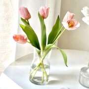 ヒメ日記 2024/12/26 18:06 投稿 柏木てぃな 禁断のメンズエステR-18堺・南大阪店