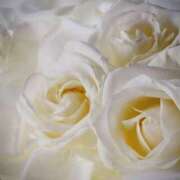 ヒメ日記 2024/12/27 15:36 投稿 柏木てぃな 禁断のメンズエステR-18堺・南大阪店