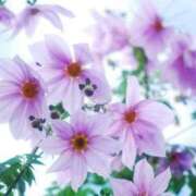 ヒメ日記 2024/12/28 00:27 投稿 柏木てぃな 禁断のメンズエステR-18堺・南大阪店