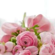 ヒメ日記 2024/12/28 09:33 投稿 柏木てぃな 禁断のメンズエステR-18堺・南大阪店