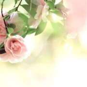 ヒメ日記 2025/01/08 20:03 投稿 柏木てぃな 禁断のメンズエステR-18堺・南大阪店