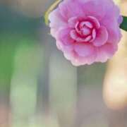 ヒメ日記 2025/01/09 12:57 投稿 柏木てぃな 禁断のメンズエステR-18堺・南大阪店