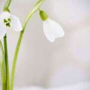 ヒメ日記 2025/01/09 17:27 投稿 柏木てぃな 禁断のメンズエステR-18堺・南大阪店