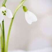 ヒメ日記 2025/01/16 19:06 投稿 柏木てぃな 禁断のメンズエステR-18堺・南大阪店