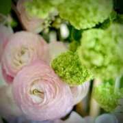 ヒメ日記 2025/01/21 17:27 投稿 柏木てぃな 禁断のメンズエステR-18堺・南大阪店