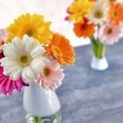 ヒメ日記 2025/01/29 10:36 投稿 柏木てぃな 禁断のメンズエステR-18堺・南大阪店