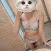 ヒメ日記 2025/07/20 00:01 投稿 すい LEVEL1