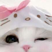 ヒメ日記 2024/12/12 22:58 投稿 如月めい☆癒しの頂点 ESTE ALLURE