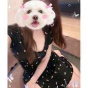 ヒメ日記 2025/10/01 12:52 投稿 神崎みいな AJ DOLLS(エージェイドールズ)