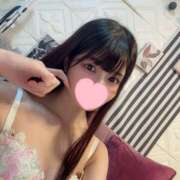 ヒメ日記 2024/12/17 12:47 投稿 すずめ シャングリラ