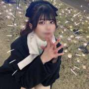 ヒメ日記 2024/12/19 23:28 投稿 すずめ シャングリラ