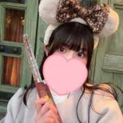 ヒメ日記 2024/12/22 09:28 投稿 すずめ シャングリラ