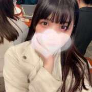 ヒメ日記 2025/04/29 20:33 投稿 すずめ シャングリラ