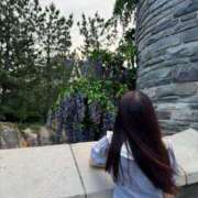 ヒメ日記 2025/07/14 14:25 投稿 すずめ シャングリラ