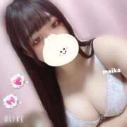 ヒメ日記 2025/11/23 10:03 投稿 まいか 丸妻 新横浜店