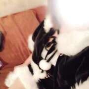 ヒメ日記 2024/12/16 08:16 投稿 金村 みか 京都ホットポイント