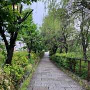 ヒメ日記 2026/04/27 22:49 投稿 金村 みか 京都ホットポイント