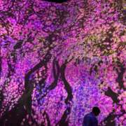 ヒメ日記 2025/07/10 00:00 投稿 みすず あふたーすくーる本店