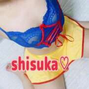 ヒメ日記 2025/01/24 08:34 投稿 シスカ ルパン