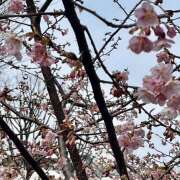 ヒメ日記 2026/02/28 13:51 投稿 あの ラブコレ