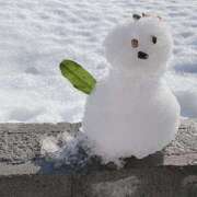 ヒメ日記 2026/03/08 11:53 投稿 あの ラブコレ