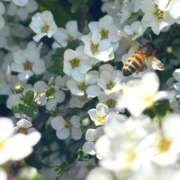 ヒメ日記 2026/03/25 10:14 投稿 あの ラブコレ