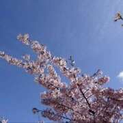 あの ※無題 ラブコレ