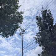 ヒメ日記 2026/04/20 11:11 投稿 あの ラブコレ