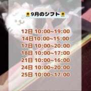 ヒメ日記 2024/09/09 21:54 投稿 ひまわり メイドde本舗