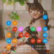 ヒメ日記 2025/11/11 12:42 投稿 ひな Polaris（ポラリス）