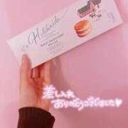 ヒメ日記 2025/04/15 10:44 投稿 月菜(つきな) 人妻城 横浜本店