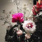 ヒメ日記 2024/12/23 21:05 投稿 笹本（ささもと） 丸妻 錦糸町店