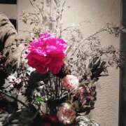 ヒメ日記 2024/12/23 23:01 投稿 笹本（ささもと） 丸妻 錦糸町店