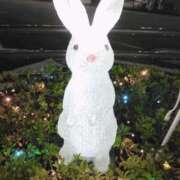 ヒメ日記 2025/02/03 01:30 投稿 笹本（ささもと） 丸妻 錦糸町店