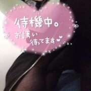 ヒメ日記 2025/02/25 23:01 投稿 笹本（ささもと） 丸妻 錦糸町店