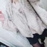 ヒメ日記 2025/03/09 11:54 投稿 笹本（ささもと） 丸妻 錦糸町店