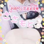 ヒメ日記 2025/03/19 21:30 投稿 笹本（ささもと） 丸妻 錦糸町店