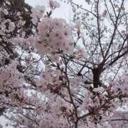 ヒメ日記 2025/03/31 19:45 投稿 笹本（ささもと） 丸妻 錦糸町店