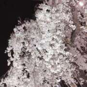 ヒメ日記 2025/03/31 20:02 投稿 笹本（ささもと） 丸妻 錦糸町店