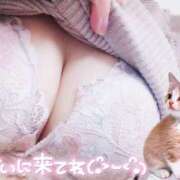 ヒメ日記 2025/04/02 19:30 投稿 笹本（ささもと） 丸妻 錦糸町店