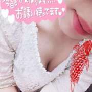 ヒメ日記 2025/04/04 17:01 投稿 笹本（ささもと） 丸妻 錦糸町店