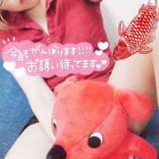 ヒメ日記 2025/04/07 15:02 投稿 笹本（ささもと） 丸妻 錦糸町店