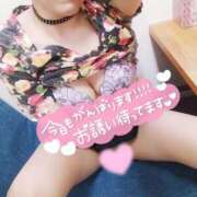 ヒメ日記 2025/04/09 16:01 投稿 笹本（ささもと） 丸妻 錦糸町店